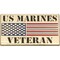 United States Marine Corps US Marines Veteran Gold American Flag Pin 1"